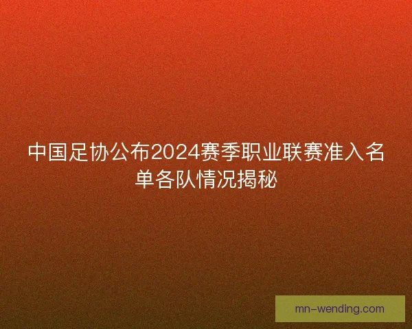 中国足协公布2024赛季职业联赛准入名单各队情况揭秘